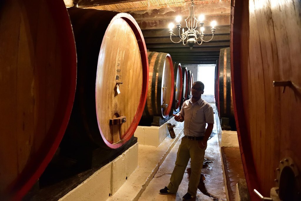 Exploring a traditional Cape wine cellar