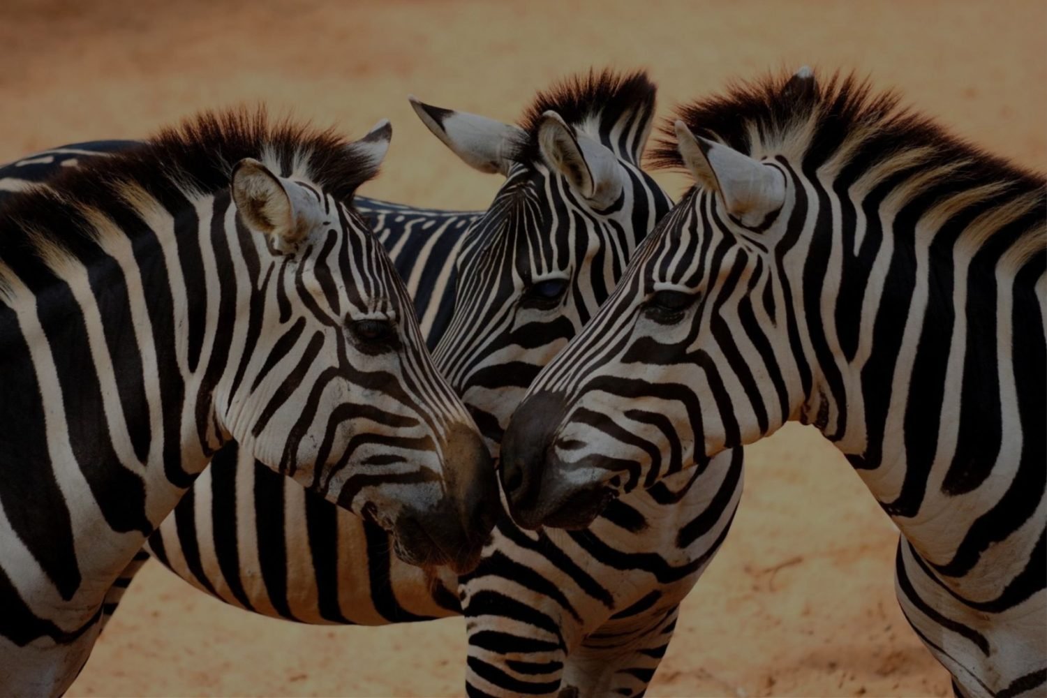 Tanzania