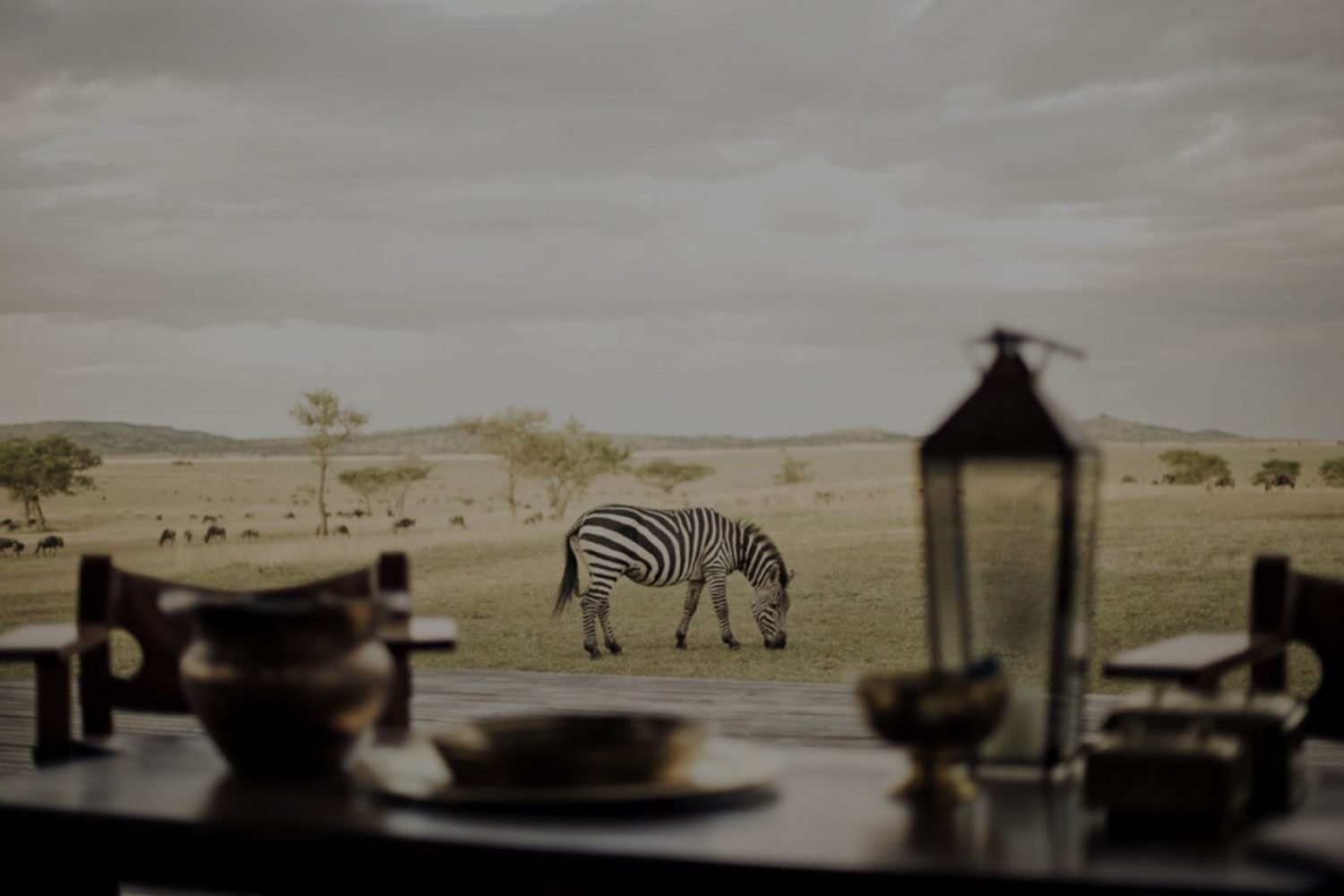 kenya