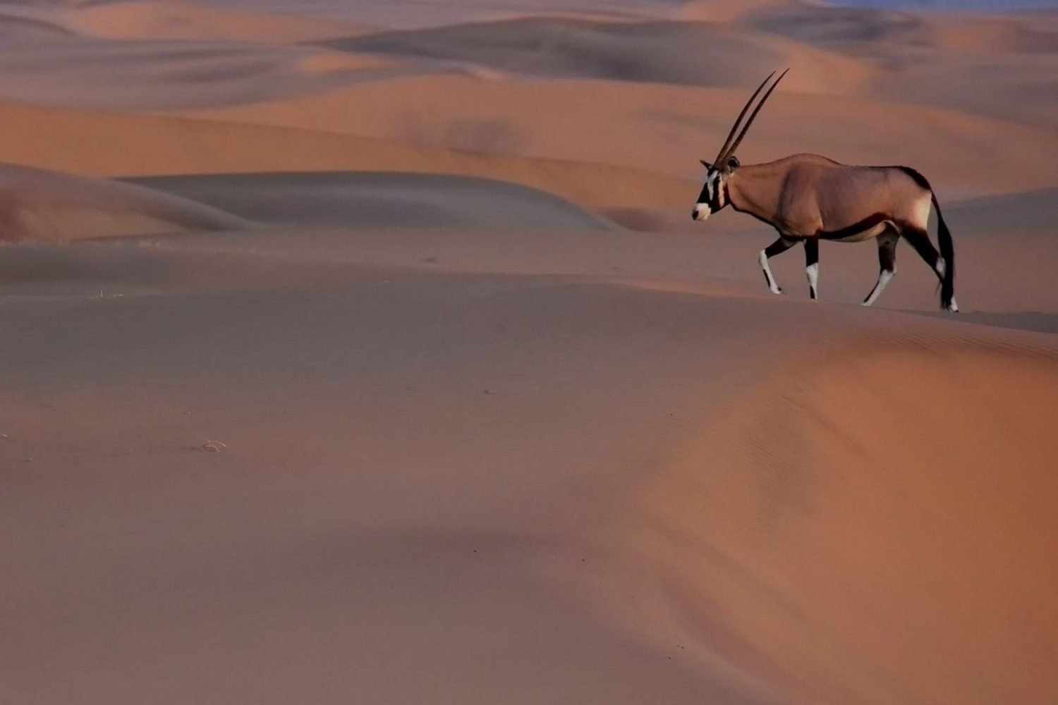namibia