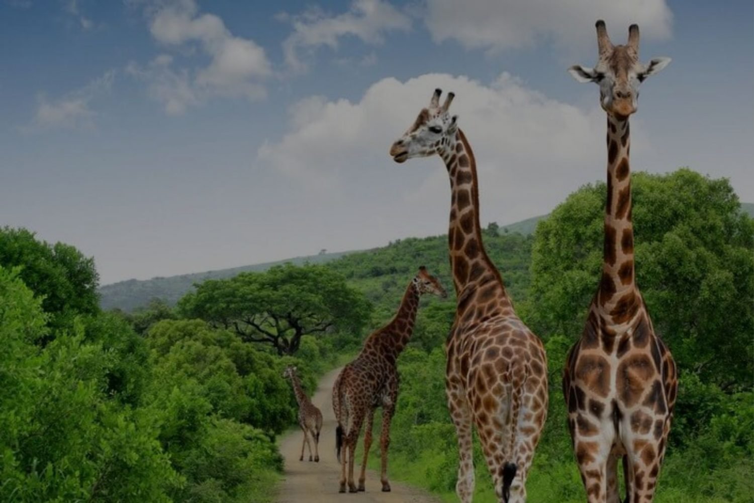 south africa