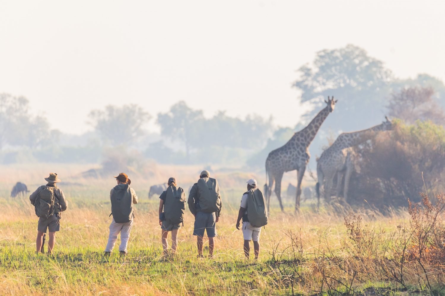 Botswana-walking-safaris-18