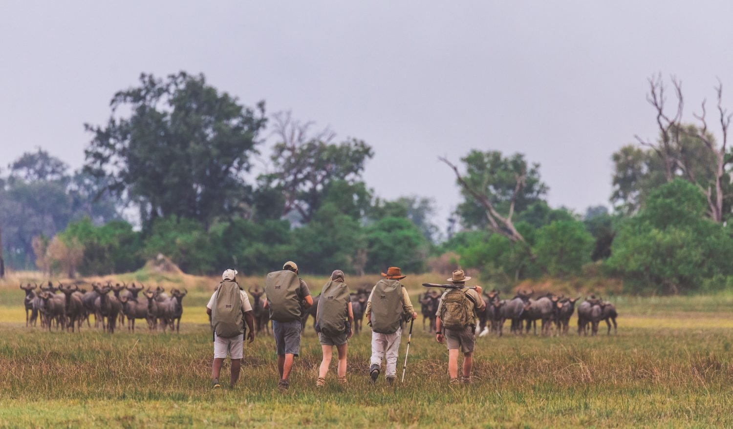 Botswana-walking-safaris-27