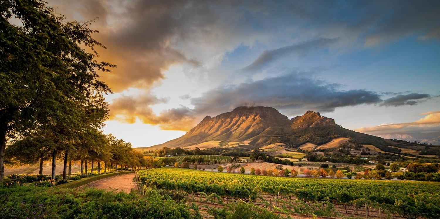 Mountain light over the Cape Winelands