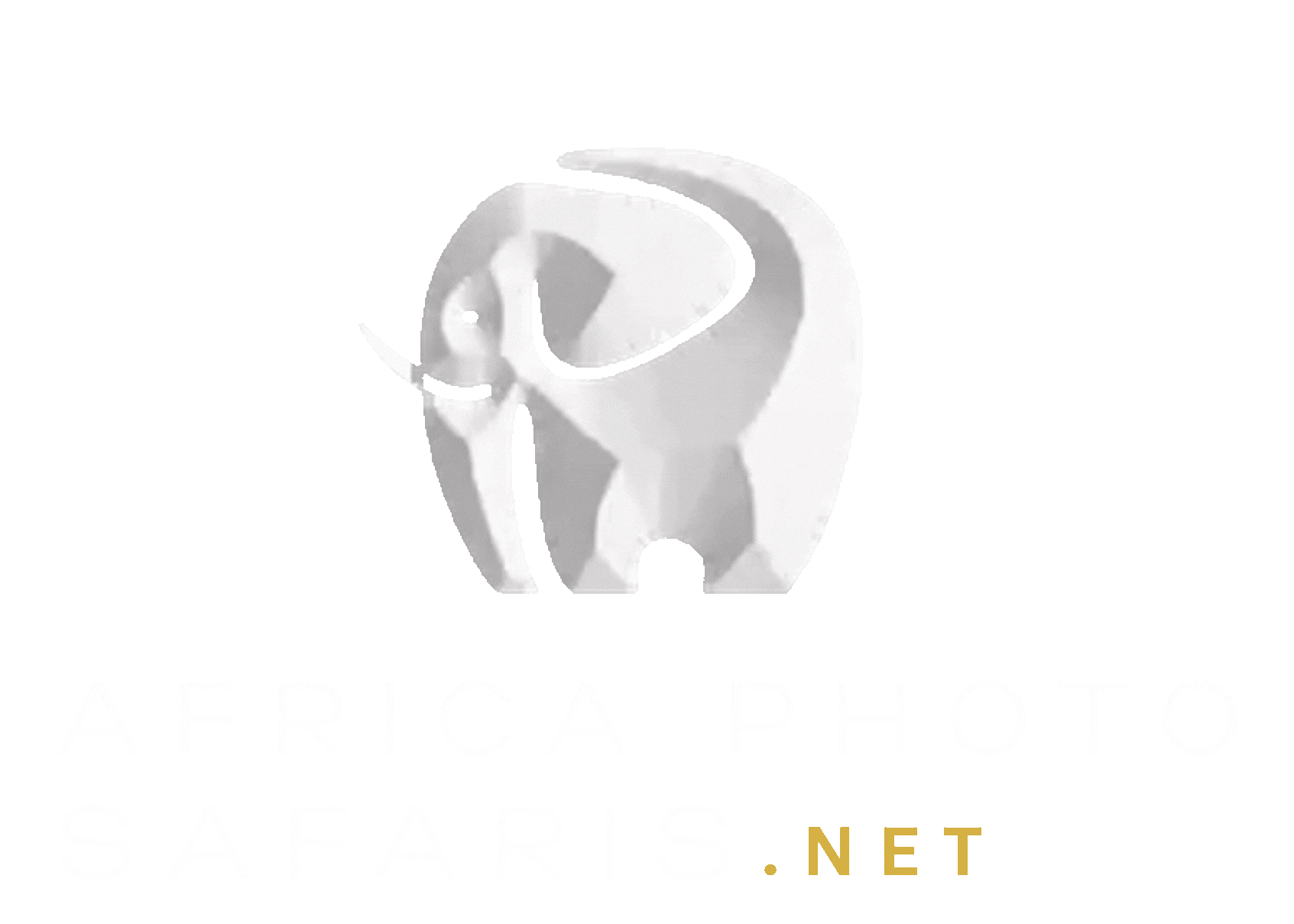 8 SAFARIS